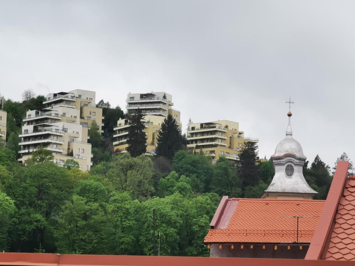 Crystal Central Apartment Braşov Buitenkant foto